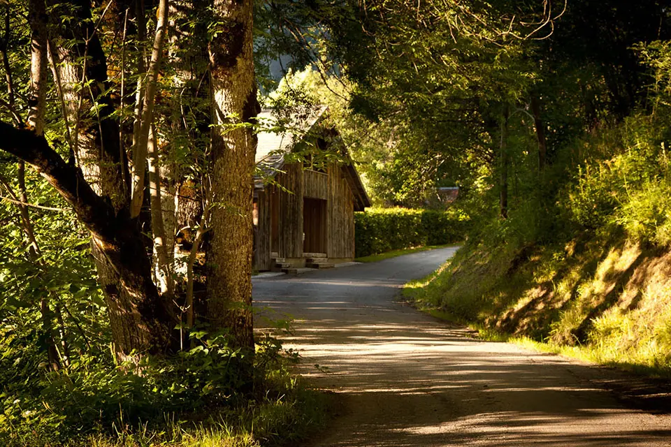 Ferme de Moudon Summer