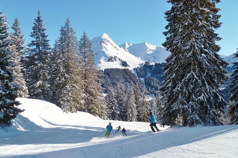 chalet-joux-plane-external