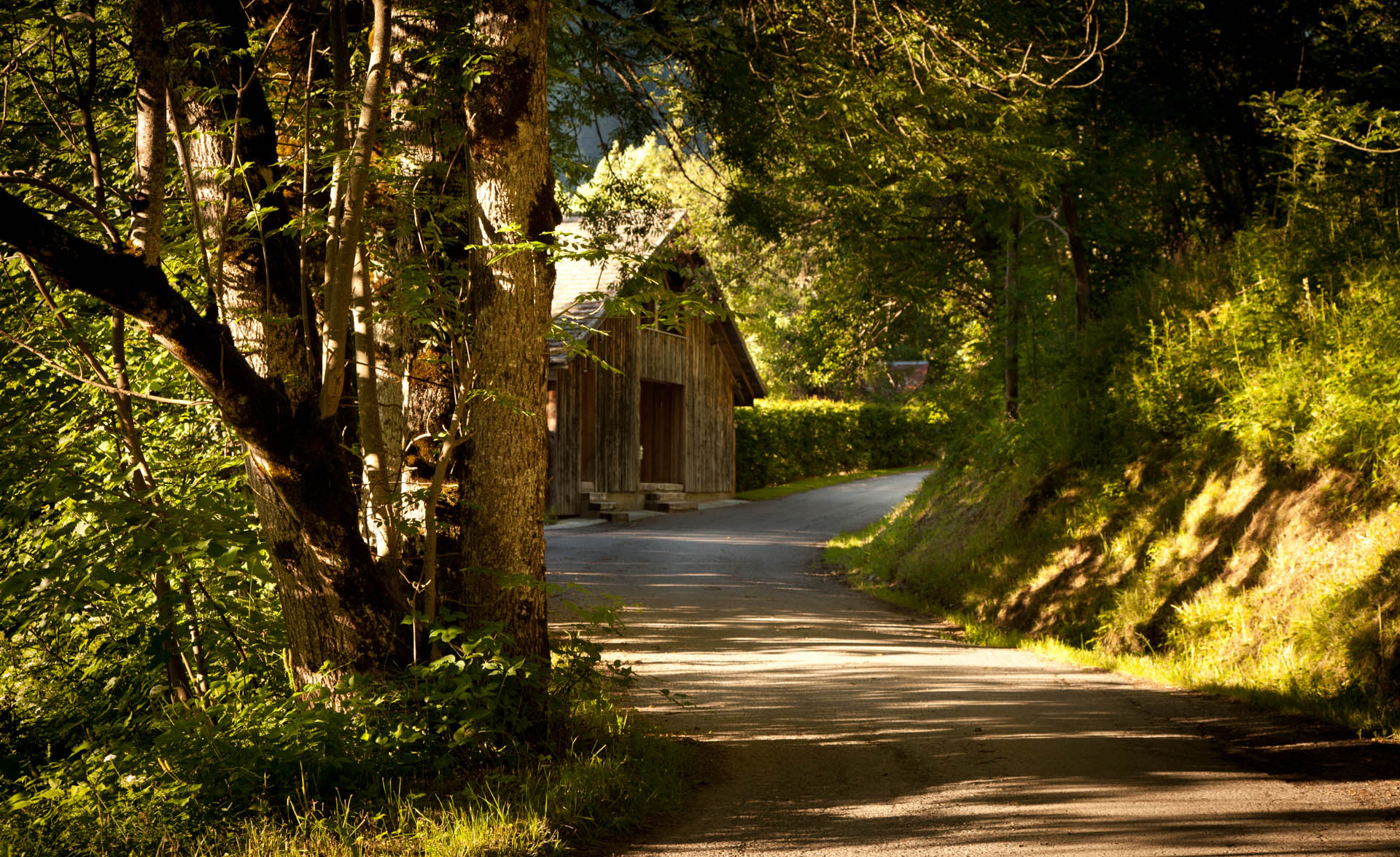 Ferme de Moudon Summer Approach